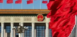 Подробнее о статье Китай став основним покупцем українського ріпакового шроту