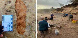 Подробнее о статье Унікальні відбитки ніг на шотландському пляжі: археологи врятували історичний слід