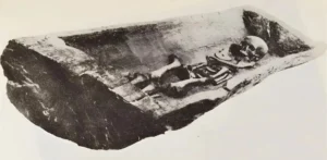 Подробнее о статье Саркофаг з дуба розкрив таємницю віку польського поховання