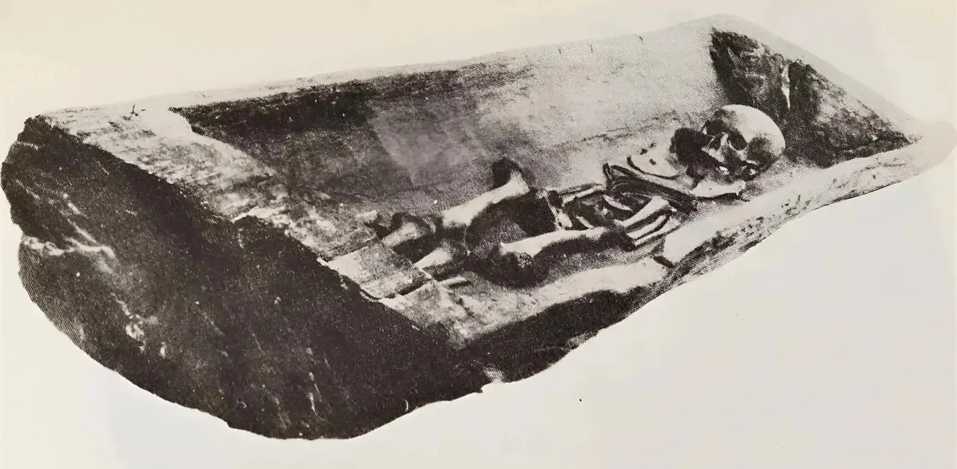 Подробнее о статье Саркофаг з дуба розкрив таємницю віку польського поховання