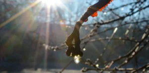 Подробнее о статье Потепління в Україні: коли чекати змін у погоді