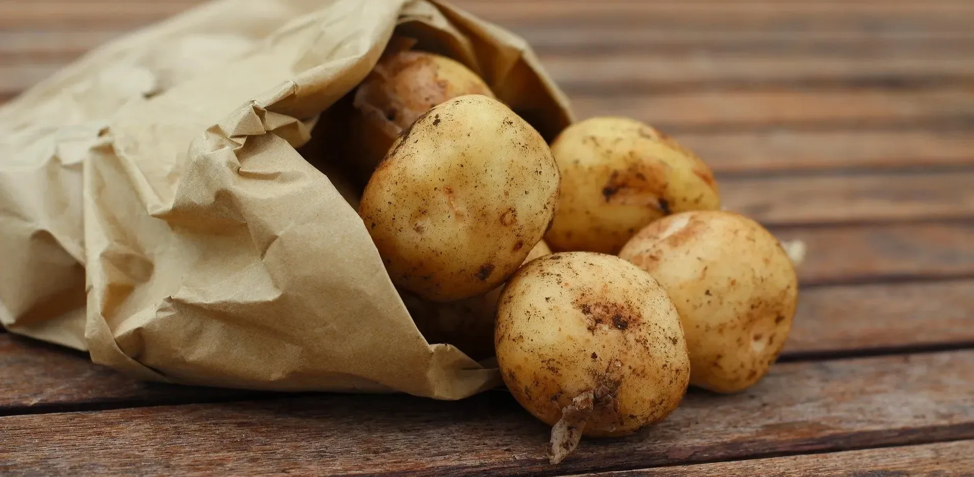 Подробнее о статье Континентал фармерз груп переорієнтовує виробництво картоплі на переробку