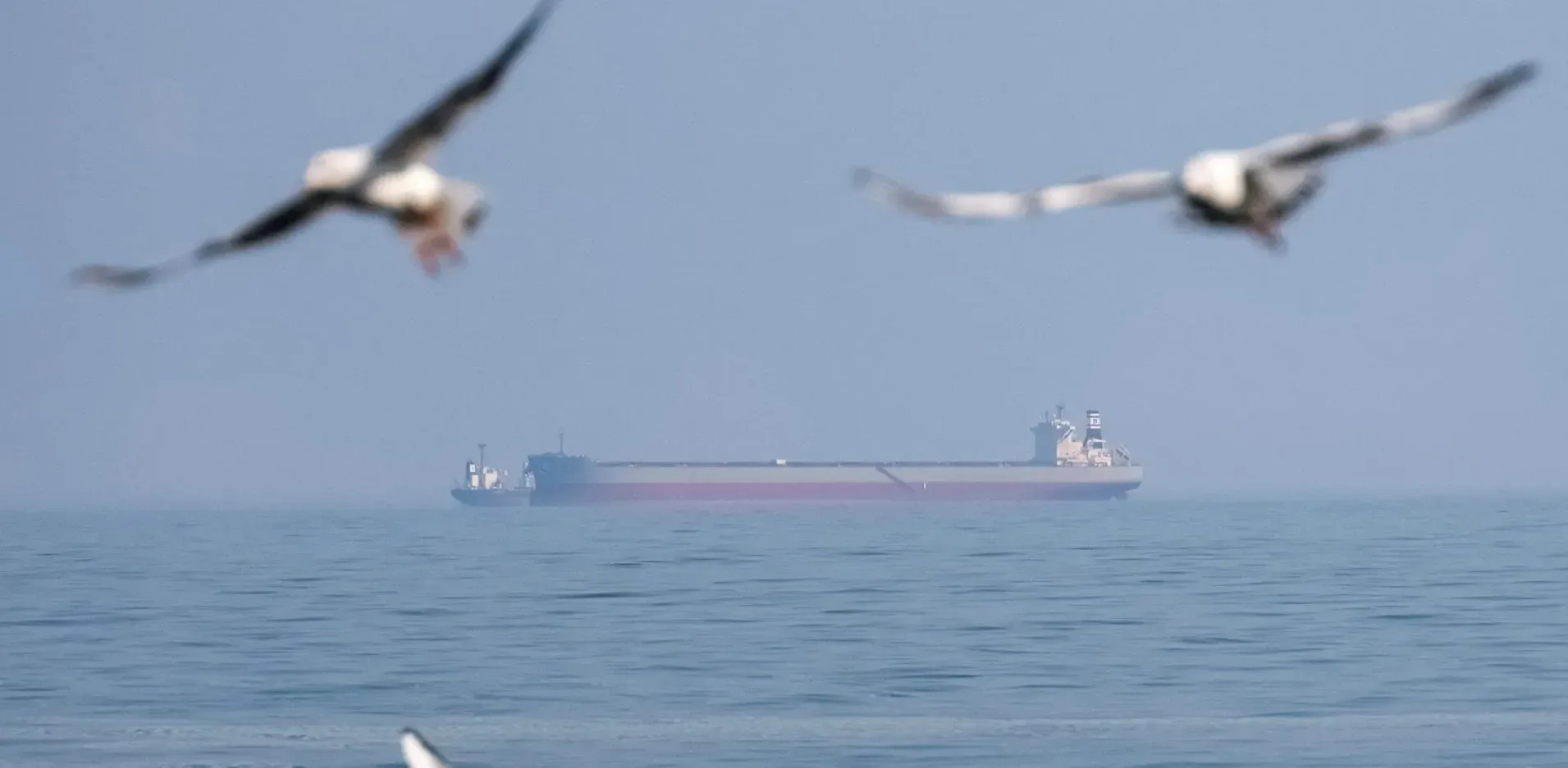 Подробнее о статье Одеса та область: Підготовка до оборони