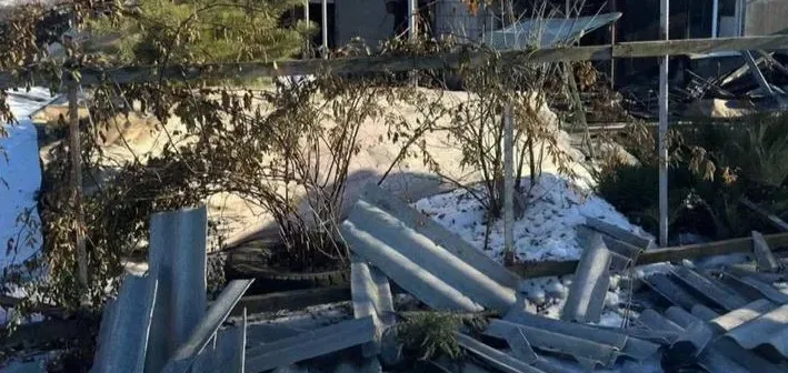 Подробнее о статье В Харкові зафіксовано атаку дроном на дерево