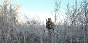 Подробнее о статье Зміна настроїв: Опитування в Румунії показує зменшення віри у перемогу України