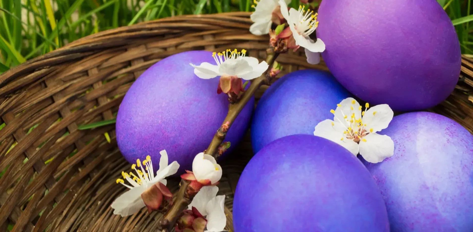 Подробнее о статье Ніжно бузкові крашанки: фарбування без штучних барвників