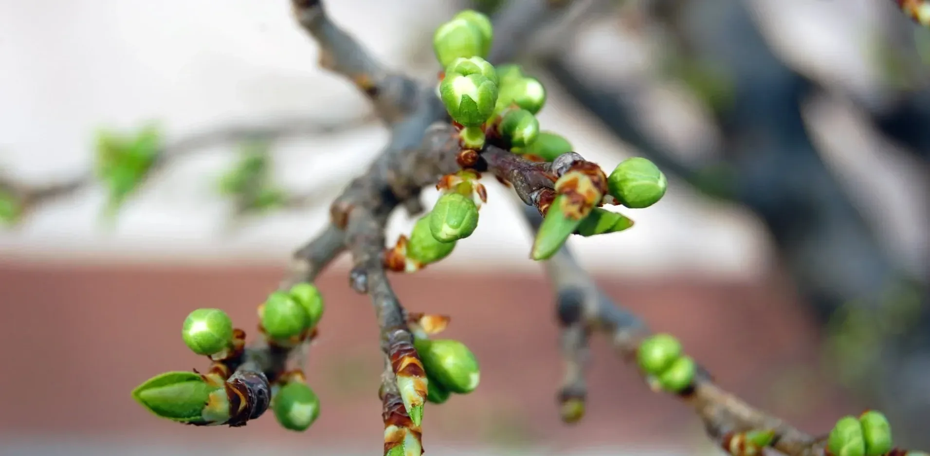Подробнее о статье Зниження температури та опади: прогноз погоди в Україні