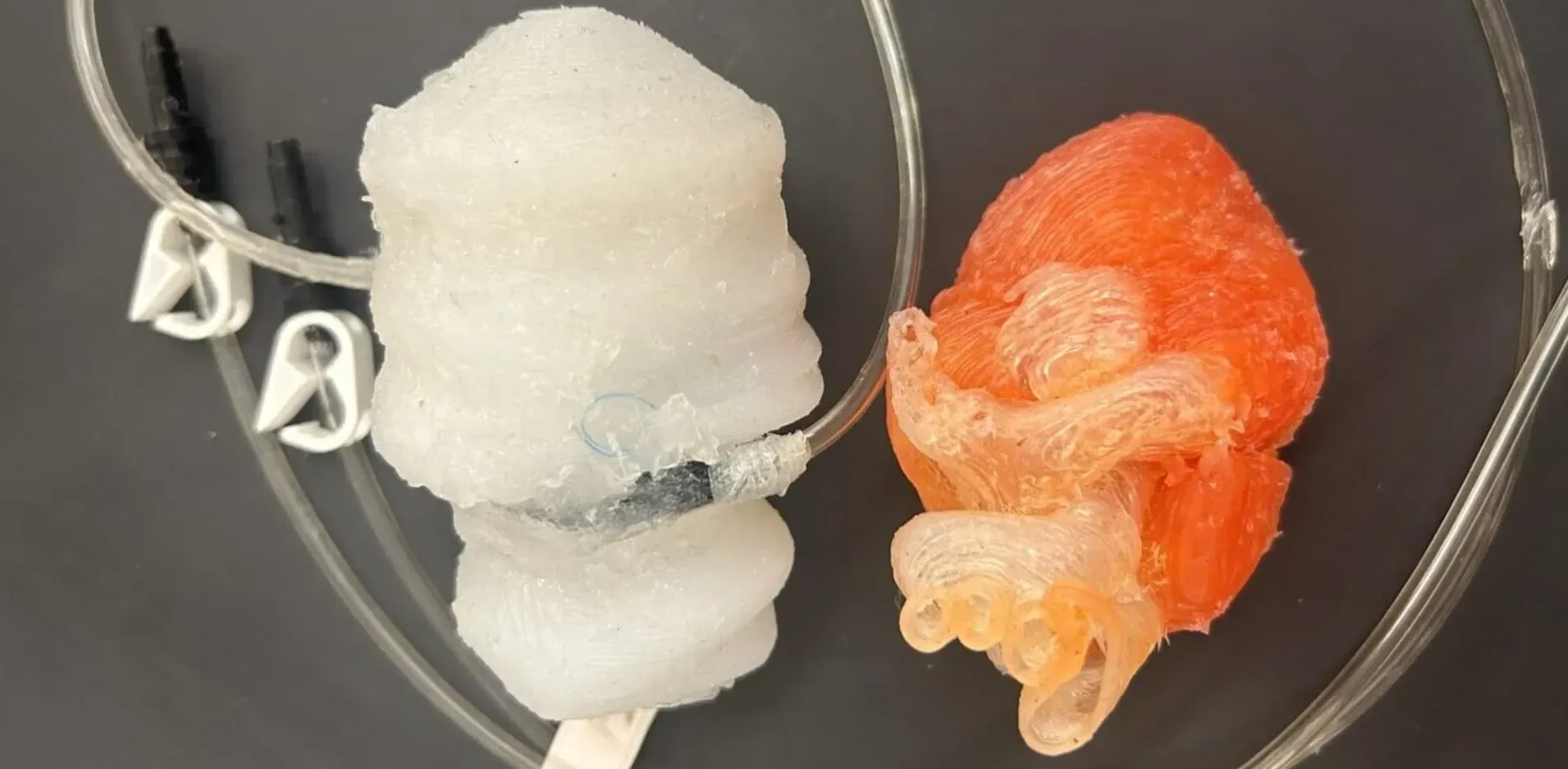 Подробнее о статье 3D-Друк Серця: Новий Підхід до Навчання Хіругів