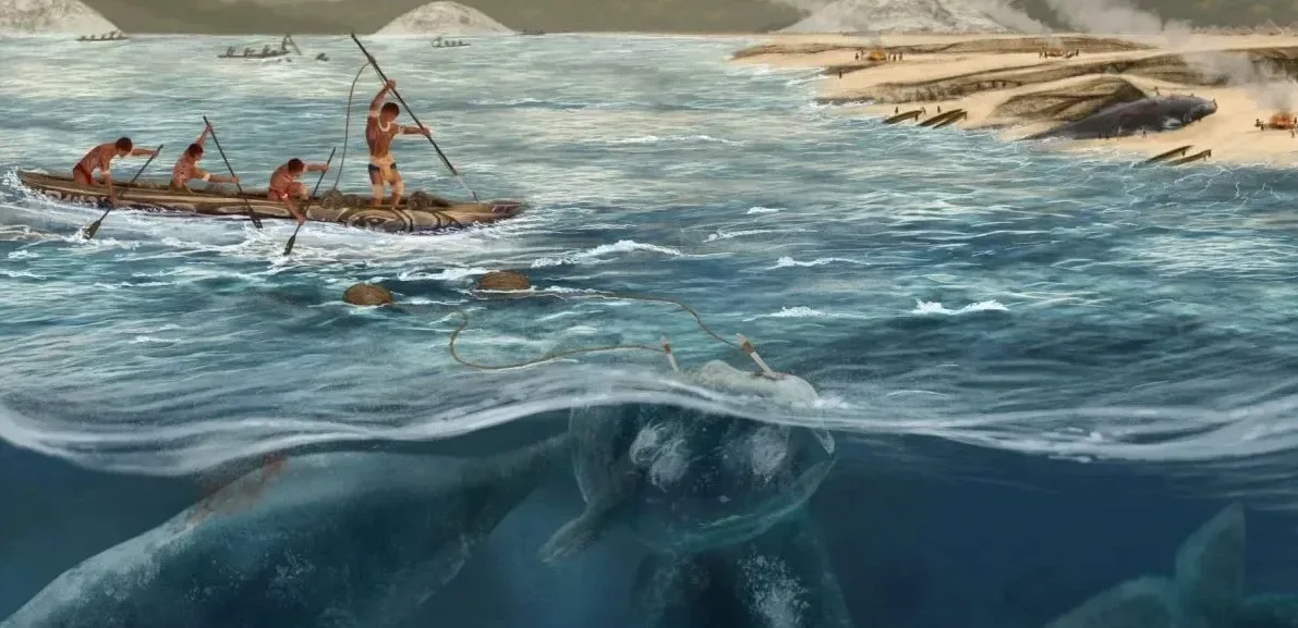 Подробнее о статье Відкриття курганів самбакі: нові факти про китобійний промисел