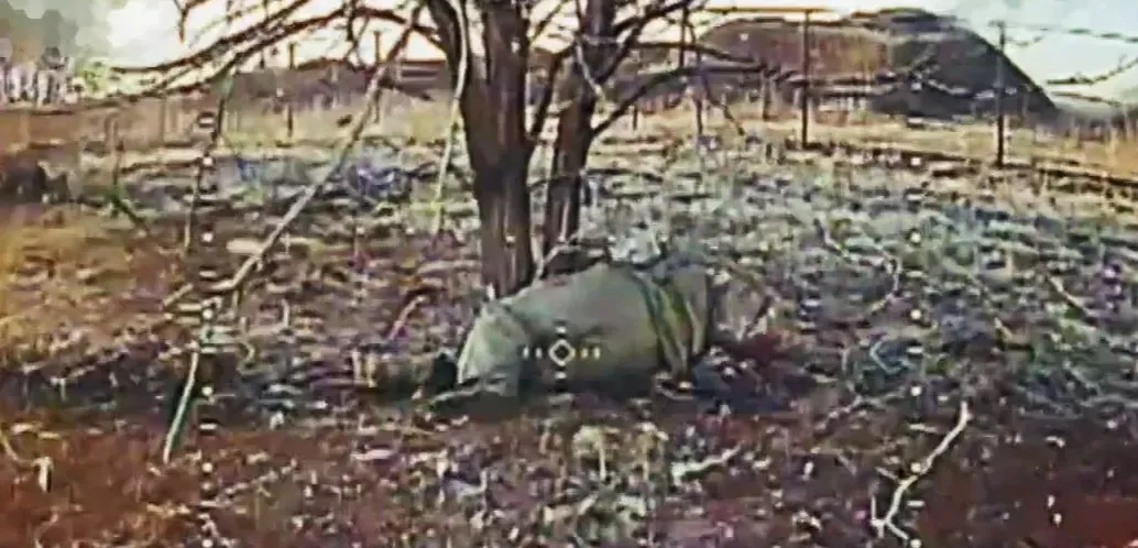 Подробнее о статье Тактика окупантів на Покровському напрямку: нові методи