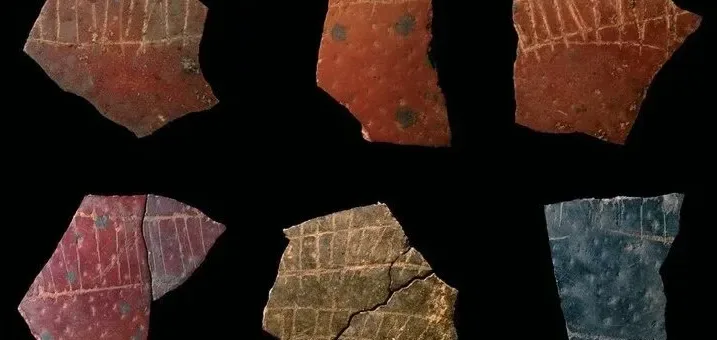 Подробнее о статье Древні Малюнки на Шкаралупах Продемонстрували Абстрактне Мислення