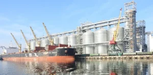 Подробнее о статье Зростання виробництва ріпакової олії в Україні: нові перспективи