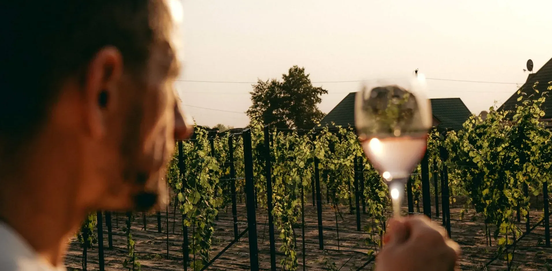 Подробнее о статье Золоті досягнення українського вина на міжнародному конкурсі