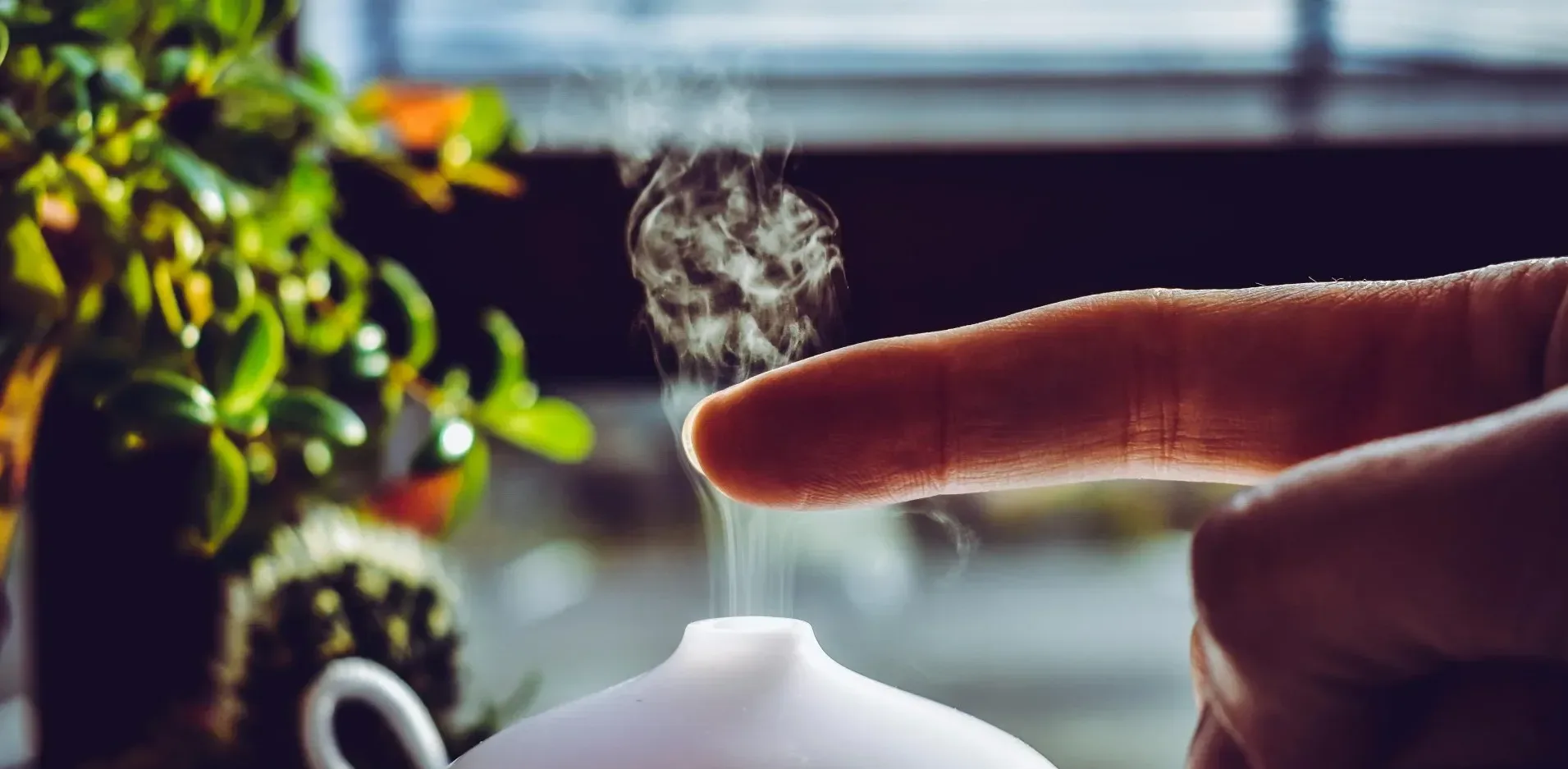 Подробнее о статье Очищувач повітря та зволожувач: що обрати для дому?