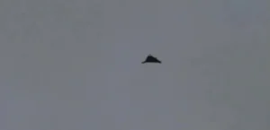 Подробнее о статье У Харкові російський удар: пошкоджені будинки, постраждалі