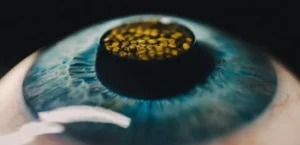 Подробнее о статье Суперечки навколо використання ШІ в ресторані Alchemist