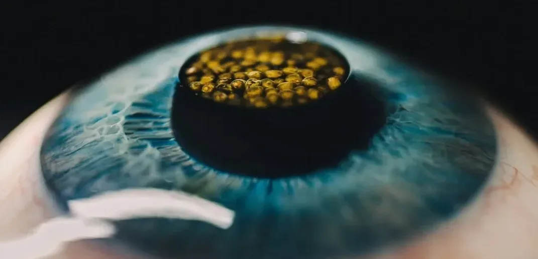 Подробнее о статье Суперечки навколо використання ШІ в ресторані Alchemist