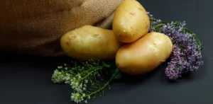 Подробнее о статье Вибір картоплі: сорт Королева Анна для 2026 року