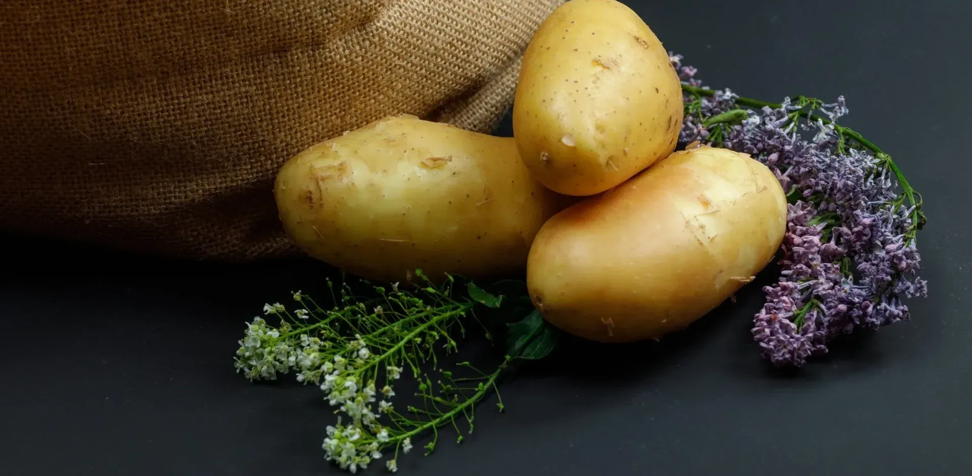 Подробнее о статье Вибір картоплі: сорт Королева Анна для 2026 року