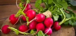 Подробнее о статье Переваги редиски для здоров’я та оригінальні рецепти