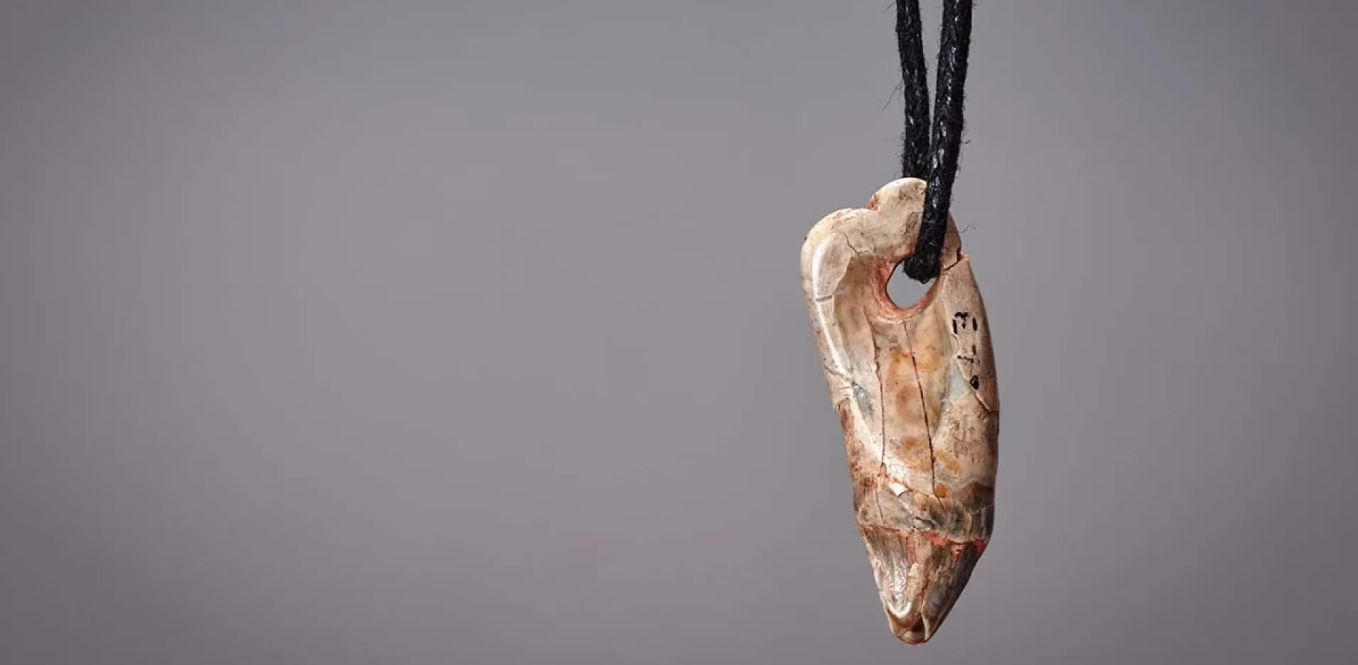 Подробнее о статье Дослідження стародавніх торгових шляхів через кулон із зуба тюленя