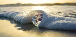 Подробнее о статье Нові дані про формування Землі та походження води