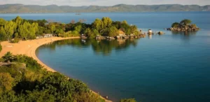 Подробнее о статье Дослідження озера Малаві: генетичні механізми еволюції видів