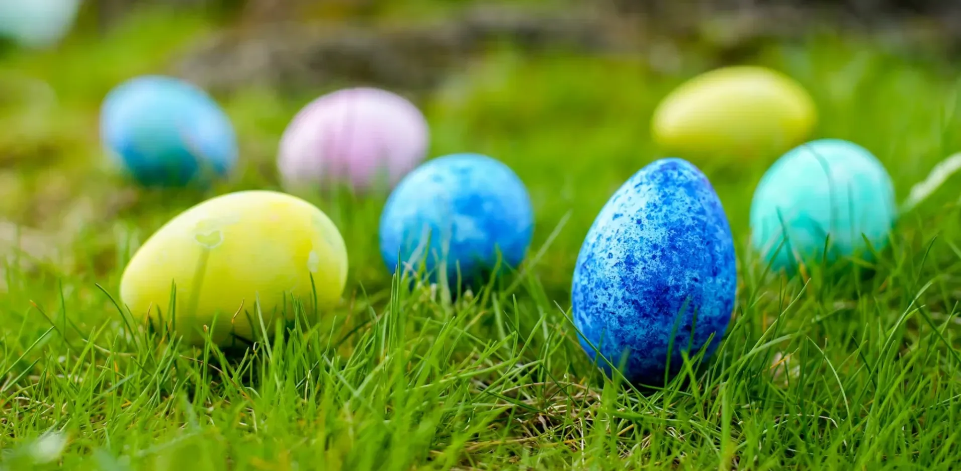 Подробнее о статье Знахідка пляшки з написом Полоній у Німеччині на Великдень