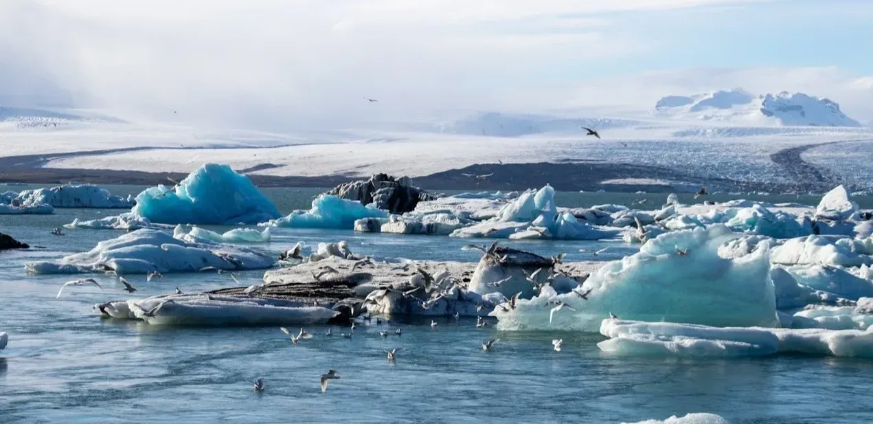 Подробнее о статье Прискорення танення льодовиків Гренландії: серйозні наслідки
