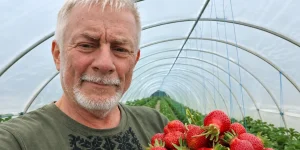 Подробнее о статье Полуничний рай: як ветеран Айдару відродив фермерство на Полтавщині