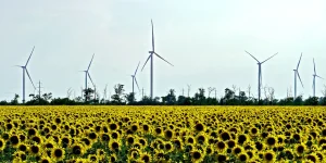 Подробнее о статье Вітроенергетика в Україні: чому галузь розвивається попри війну